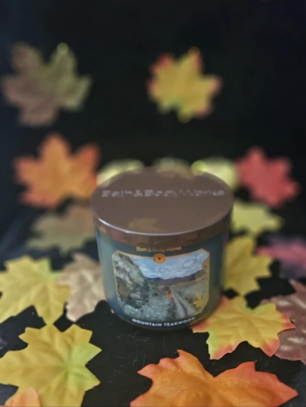 NWT Bath & Body Works Mountain Teakwood 3-wick Candle - Blue & Brown